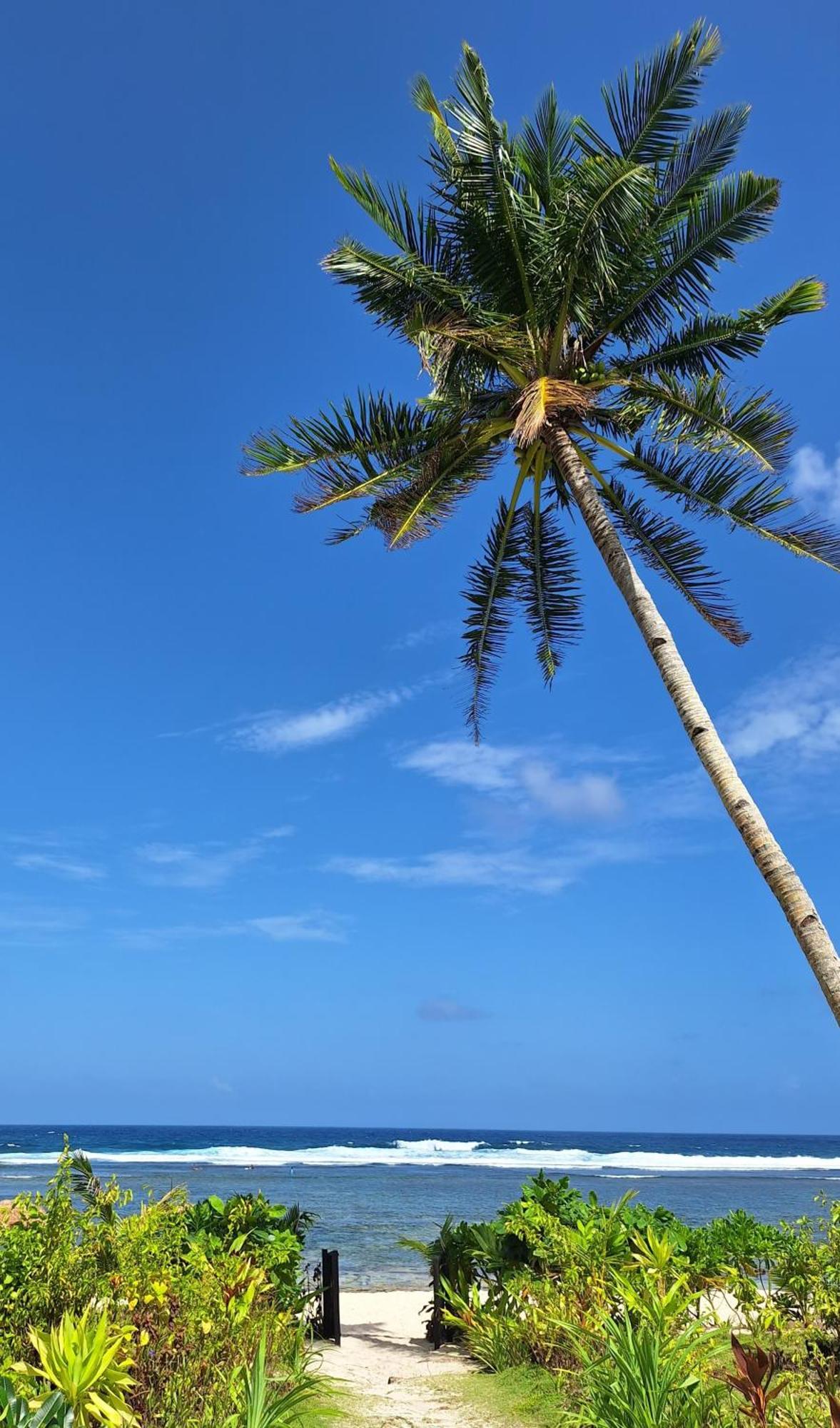 Bamboo Surf Beach San Isidro  エクステリア 写真