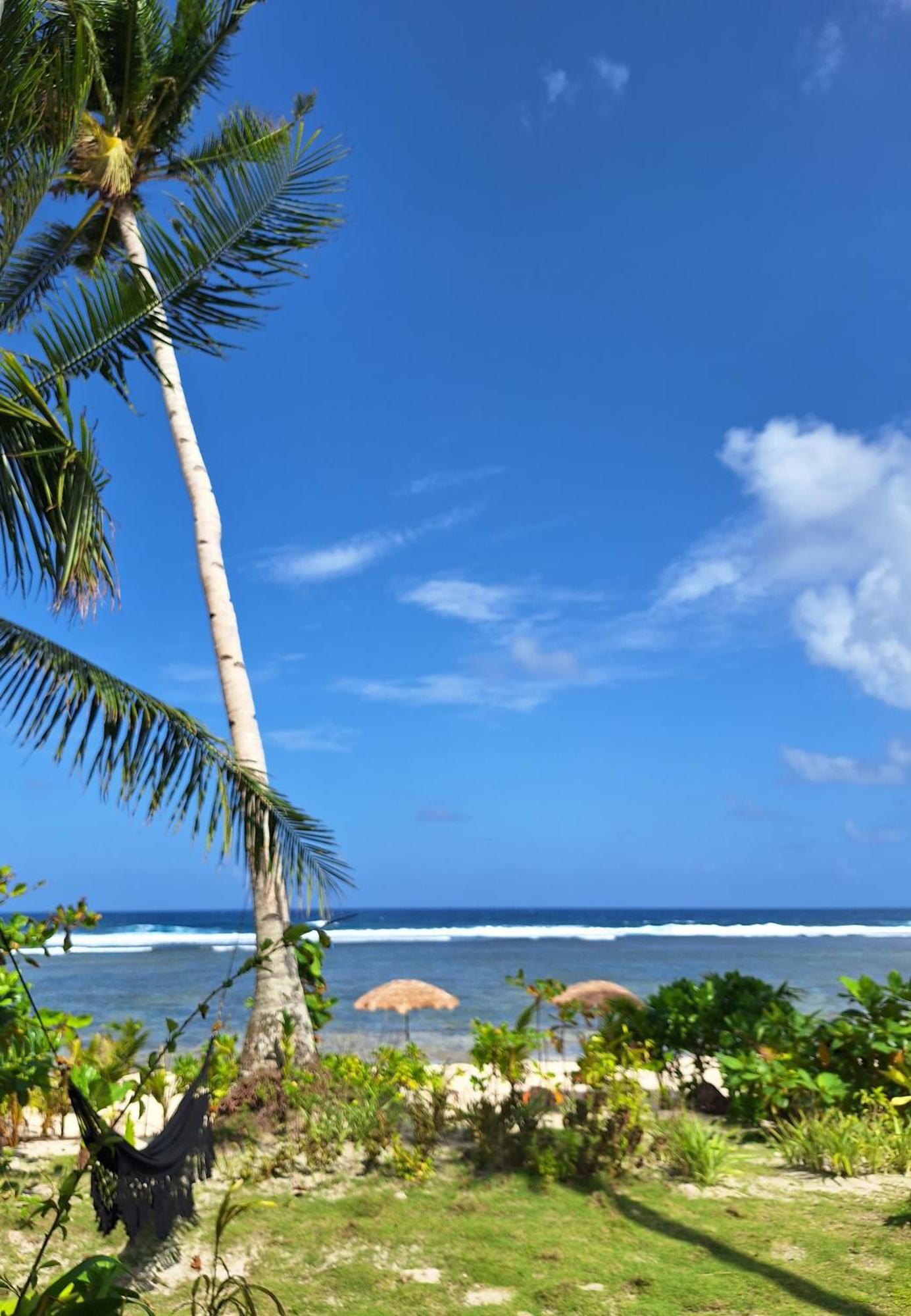 Bamboo Surf Beach San Isidro  エクステリア 写真