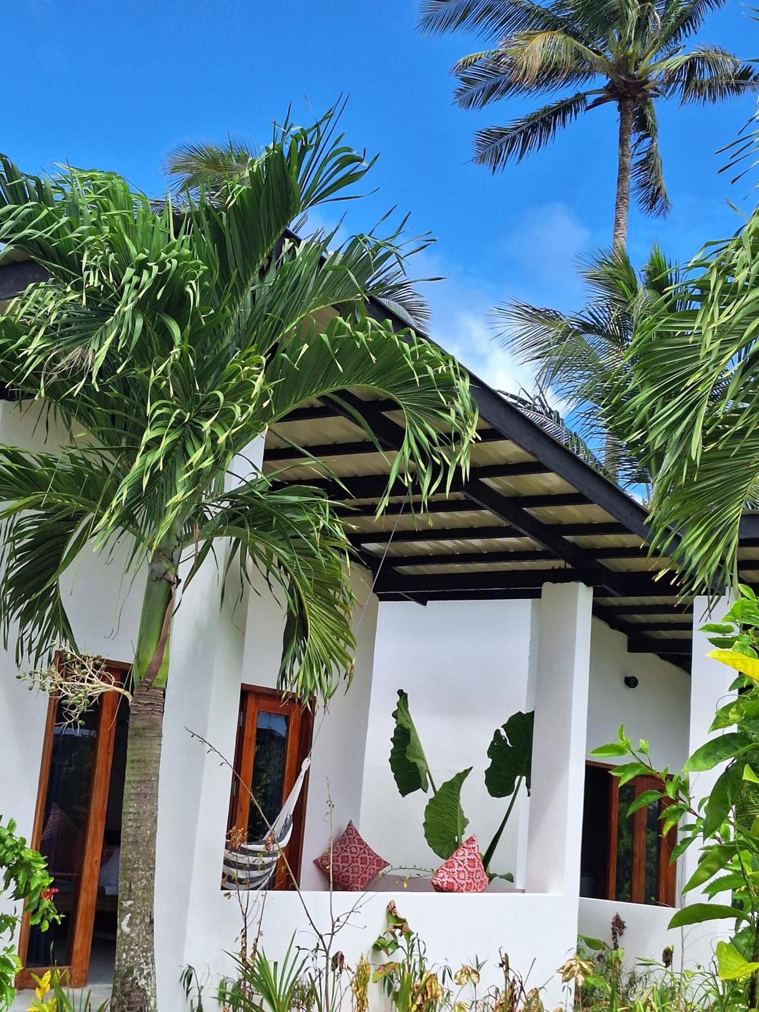Bamboo Surf Beach San Isidro  エクステリア 写真