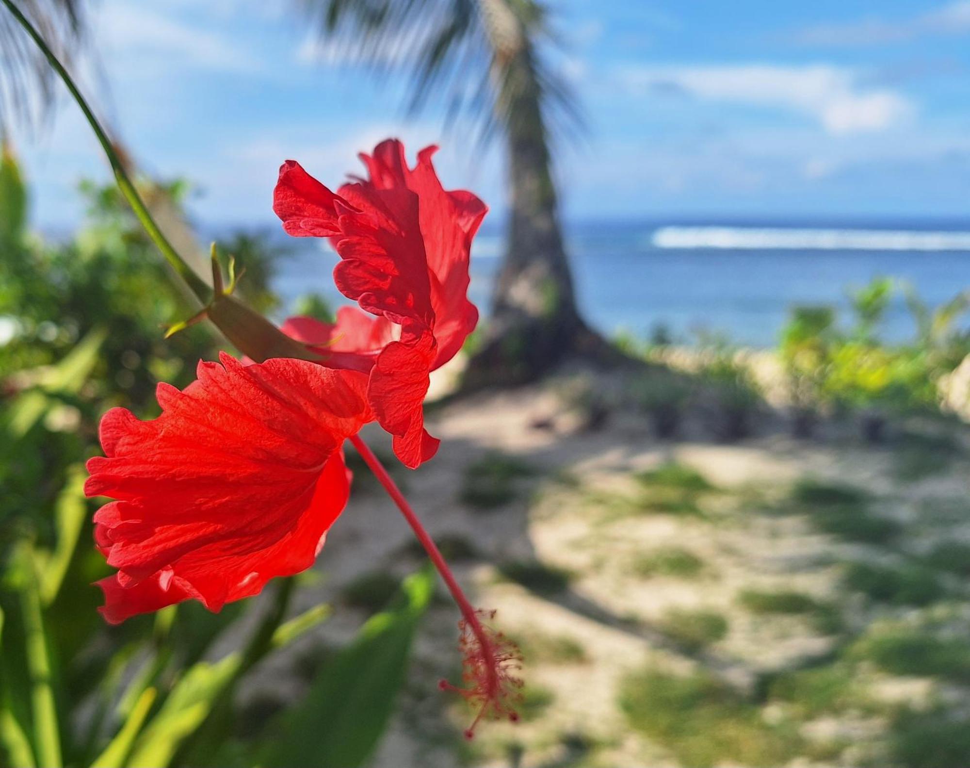 Bamboo Surf Beach San Isidro  エクステリア 写真